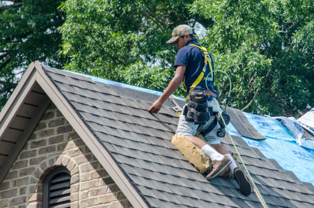 Best Local Roofing Companies  in Leland, NC